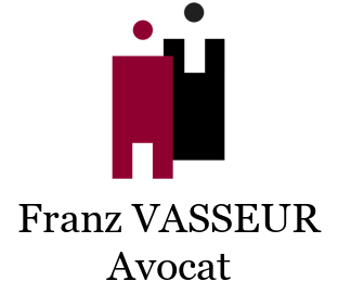 Logo Cabinet Franz Vasseur - Président Registre Général - Droit des Sociétés et Propriété Intellectuelle